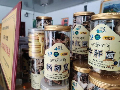 90后小伙备孕之路，每天8个生蚝的吃出来的故事