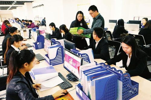 电子商务专业什么没学到