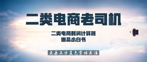 说说我的专业电子商务