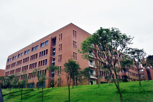 湖北电子商务专业学院
