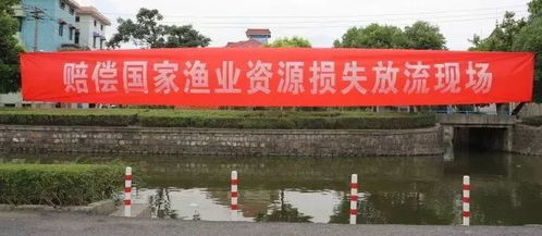 强拆鱼塘被判赔380万 街道办回应