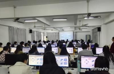 电子商务专业毕业后就业