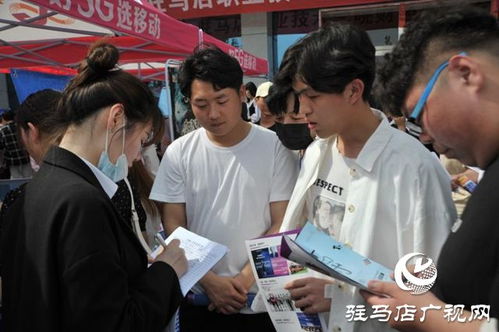 红黄绿牌专业电子商务