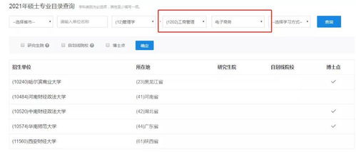 电子商务专业的就业去向