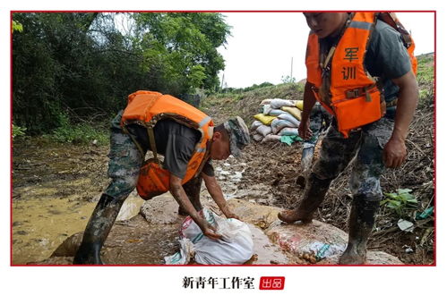 缅甸地震，灾难中的生命与希望