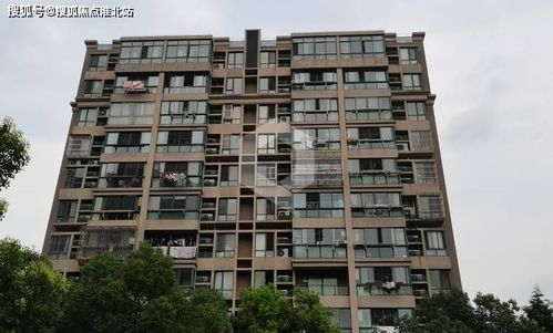 电子商务专业上海居转户
