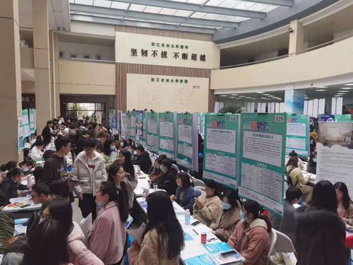 招聘会电子商务专业