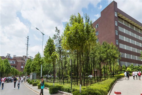 云南电子商务专业大学