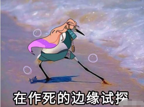 跨国情侣玫瑰与毛子吵架提离婚，一场跨国爱情的试炼