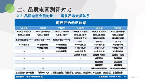 电子商务专业大厂排名