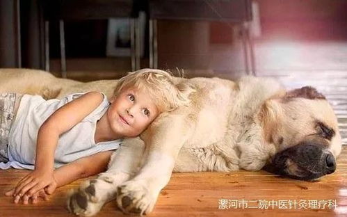 俩小孩带小狗一起玩结果浑身湿透