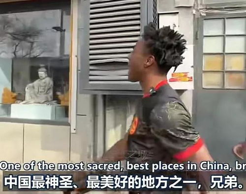 媒体：甲亢哥不仅让世界认识中国