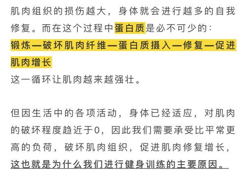 男子滥用类固醇增肌，健康遭劫，肝肾功能异常的警示