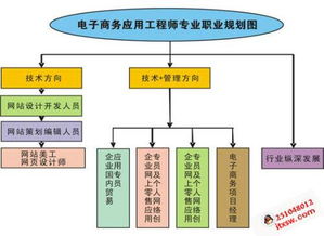 电子商务专业职业路径图