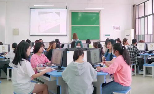 电子商务专业水平怎么写