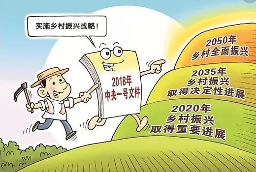 多位专家联合建言，上调农民养老金，助力乡村振兴战略深入实施
