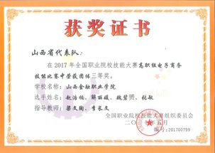 电子商务无经验专业简历