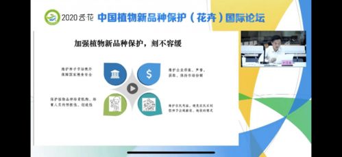 半个娱乐圈云集杭州参加活动