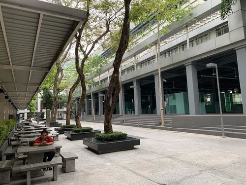 曼谷大学的电子商务专业