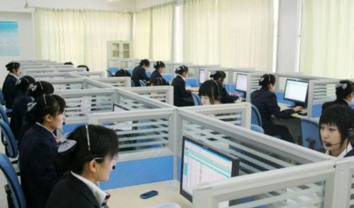 电子商务专业发展的思考