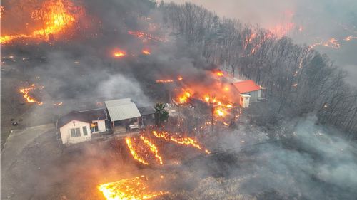 韩国最严重山火百年恢复之路
