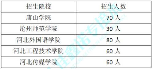本科专业电子商务类别