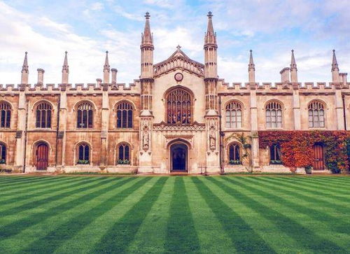 英国专业电子商务的大学
