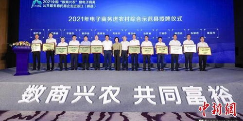 浙江王牌专业是电子商务