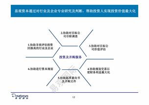 电子商务专业的机会因素