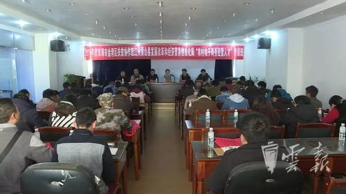 金湾电子商务专业网站