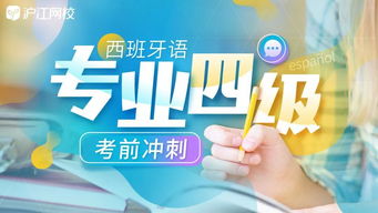 西班牙语专业电子商务