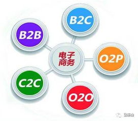 电子商务管理专业哪个好