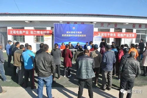 呼图壁县电子商务专业