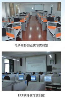 电子商务专业当编导好吗
