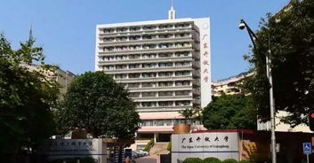 广东电子商务专业的大学