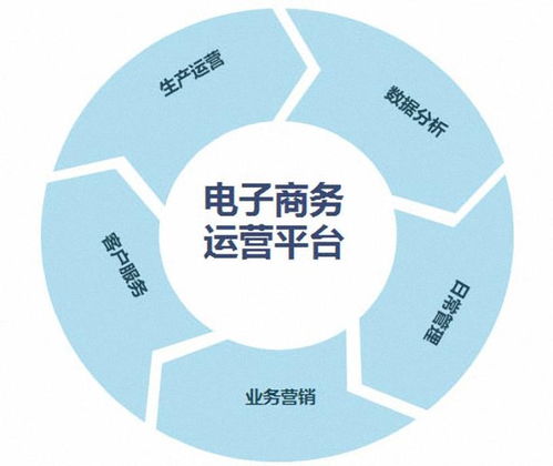 电子商务专业都包含什么
