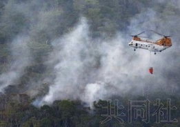 美军在立陶宛失踪士兵事件，悲剧发生，4名士兵确认遇难