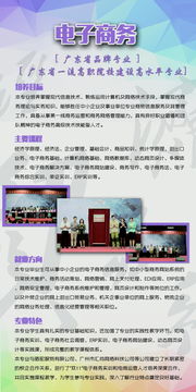 电子商务专业的简介海报