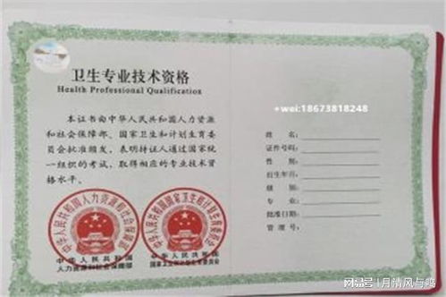 电子商务对专业证要求