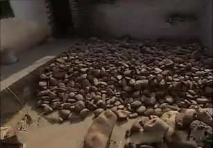 缅甸地震震碎中国玉石商人淘金梦
