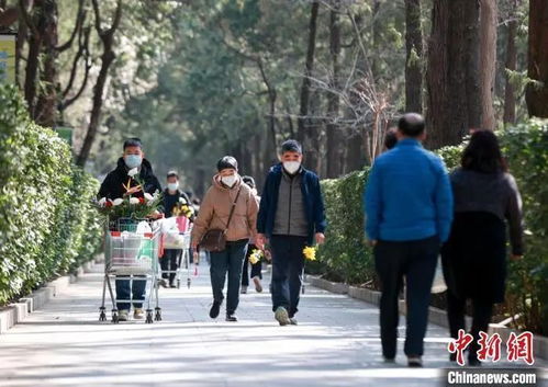 清明祭扫四大误区