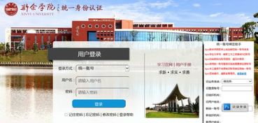 专科电子商务专业科目