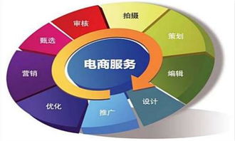 电子商务专业单招山东