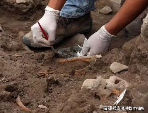 挖呀挖黄老师回应挖出一个亿的背后故事