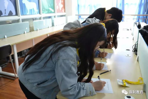 鼎利学院电子商务专业
