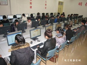 电子商务专业毕业后考研