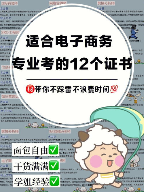 电子商务专业性格特长