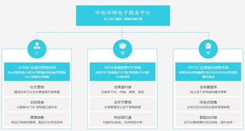 电子商务专业平台网址