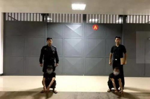 多人在健身房组织卖淫，最高判刑5年半，法律严惩，警钟长鸣
