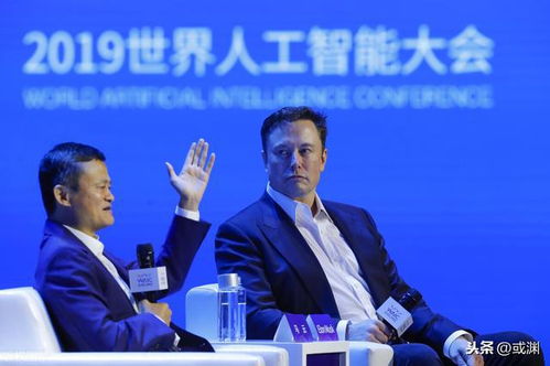 当雷军与马斯克共振